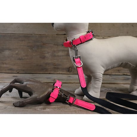 Dog & Owner Matching 25mm Studs Flowers and Leaves Design Goatskin Colla & Braceletr