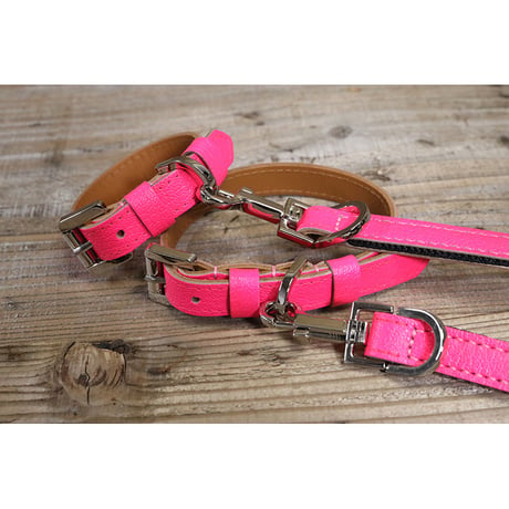 Dog & Owner Matching 15mm Plane Goatskin & Sheet Woven Nylon Leash
