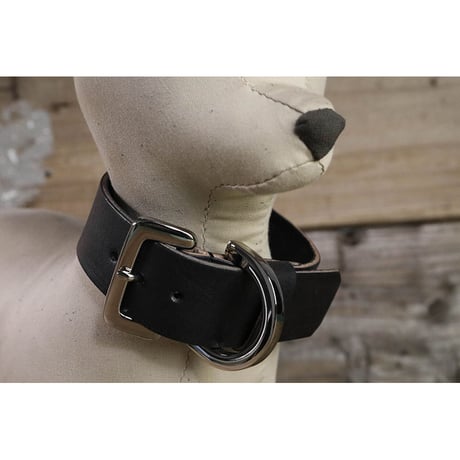 30mm Original Studs Playful Font Leather Collar
