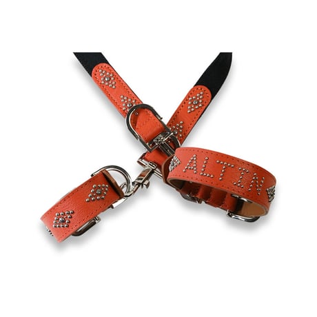Dog Leash / Losange