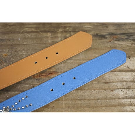 Dog & Owner Matching 25mm Studs Butterfly Arch Design Collar & Bracelet