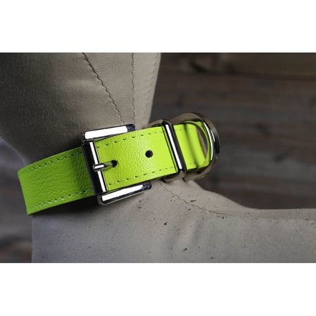 Dog & Owner Matching 20mm Plane Goatskin Collar & Bracelet