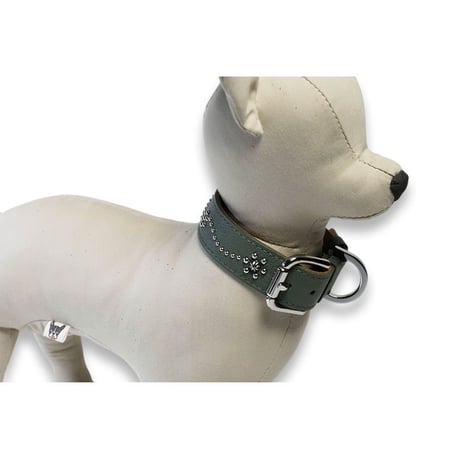 Dog Collar / Feuillage
