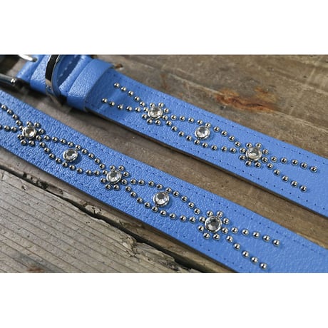 Dog & Owner Matching 25mm Studs Butterfly Arch Design Collar & Bracelet
