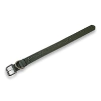 Dog Collar / Feuillage