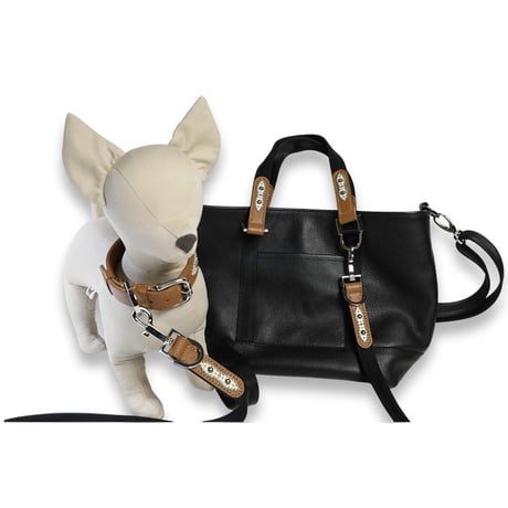 Dog Leash /  Navette