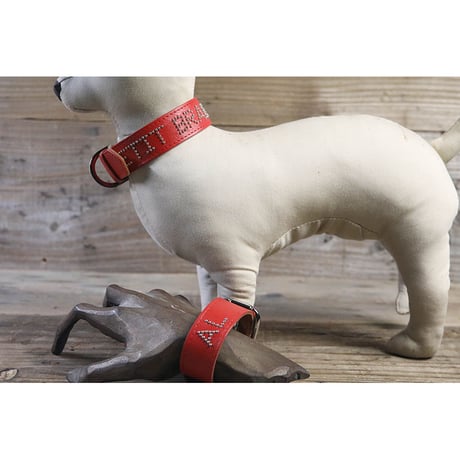 Dog & Owner Matching 25mm Studs Font Goatskin Collar & Bracelet