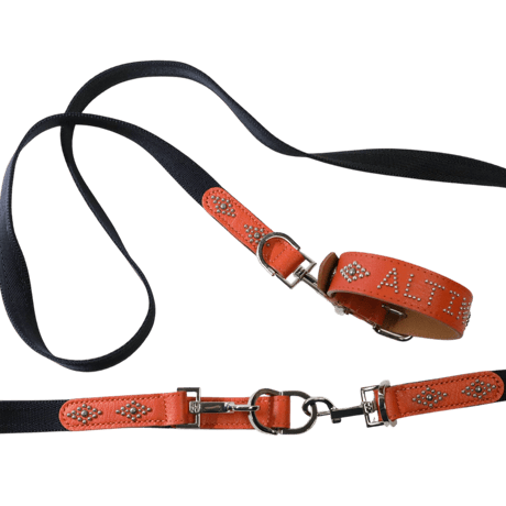 Dog Handle /  Losange
