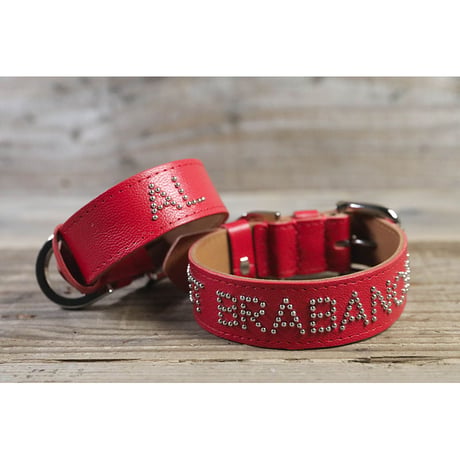 Dog & Owner Matching 25mm Studs Font Goatskin Collar & Bracelet