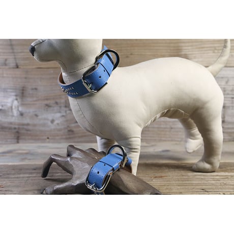 Dog & Owner Matching 25mm Studs Butterfly Arch Design Collar & Bracelet