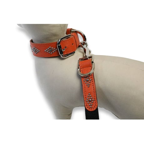 Dog Leash / Losange