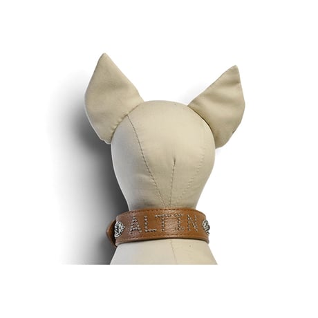 Dog Collar / Navette