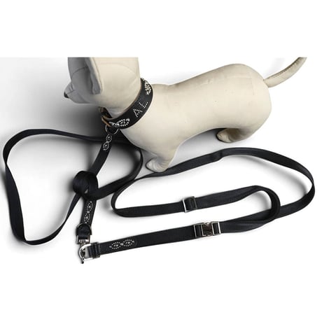 Goatskin & Sheet Woven Nylon Leash / Nocturne Trim Studs Design