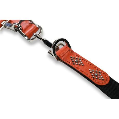 Dog Leash / Losange