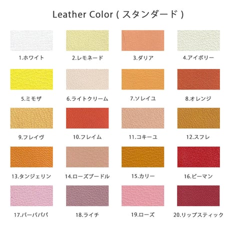 Dog & Owner Matching 15mm Plane Goatskin & Sheet Woven Nylon Leash