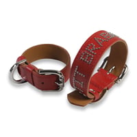 Dog & Owner Matching 25mm Studs Font Goatskin Collar & Bracelet