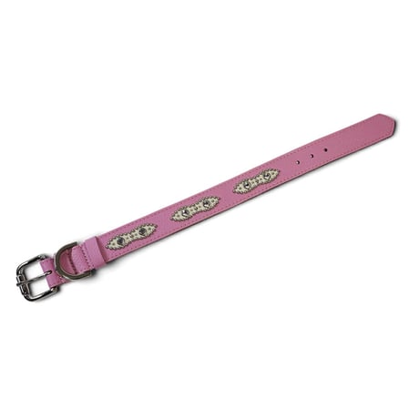 Dog Collar / Navette