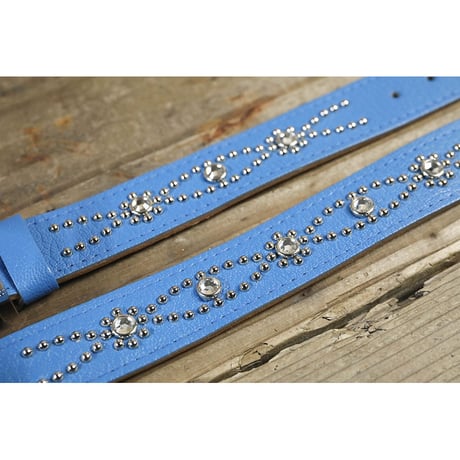 Dog & Owner Matching 25mm Studs Butterfly Arch Design Collar & Bracelet