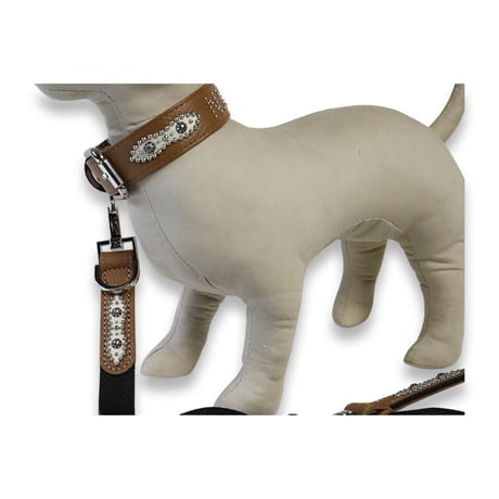 Dog Leash /  Navette