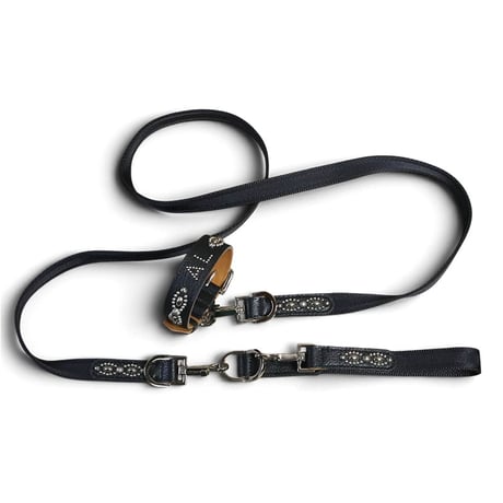 Goatskin & Sheet Woven Nylon Leash / Nocturne Trim Studs Design