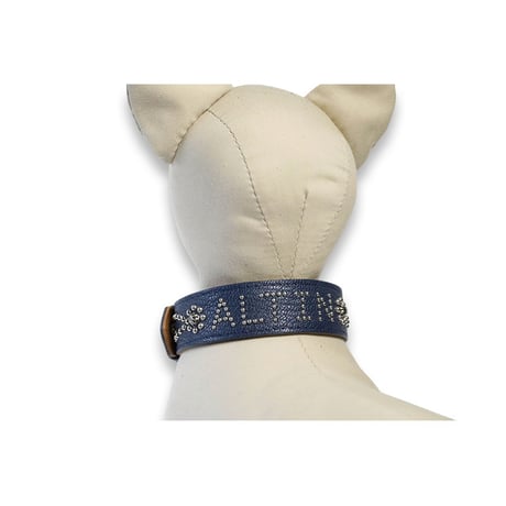 Dog Collar / Sillage