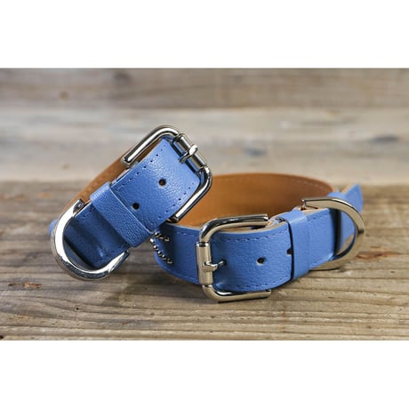 Dog & Owner Matching 25mm Studs Butterfly Arch Design Collar & Bracelet