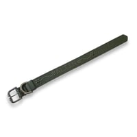 Dog Collar / Feuillage