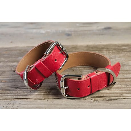 Dog & Owner Matching 25mm Studs Font Goatskin Collar & Bracelet
