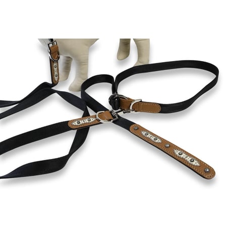 Dog Leash /  Navette