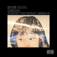 Omen44/病む街3000 feat.Mega G,Shadow The Great-7inch-