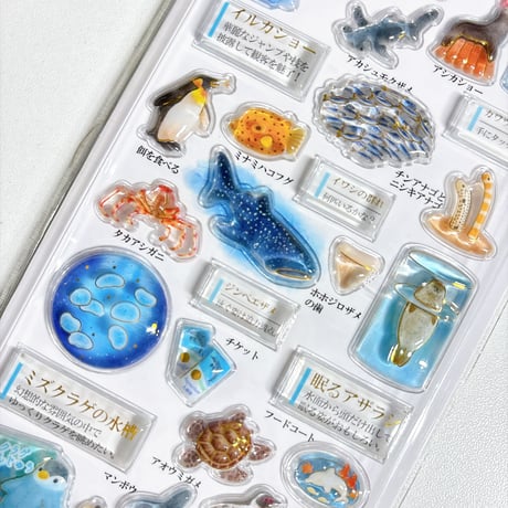 【3D大人の図鑑シール】《水族館 233535》 シール ステッカー