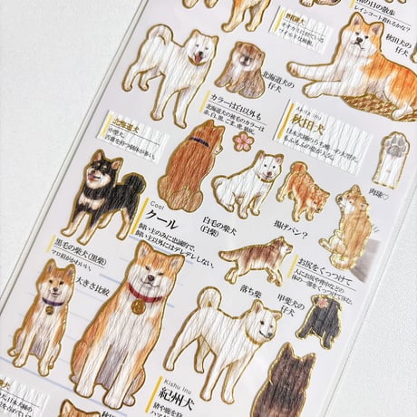 【大人の図鑑シール】《日本犬 221733》 シール ステッカー