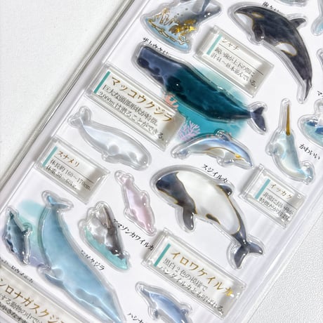 【3D大人の図鑑シール】《イルカクジラ 233533》 シール ステッカー