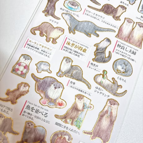【大人の図鑑シール】《カワウソ 226324》 シール ステッカー