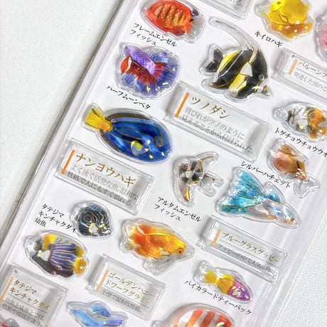 【3D大人の図鑑シール】《熱帯魚 233534》 シール ステッカー