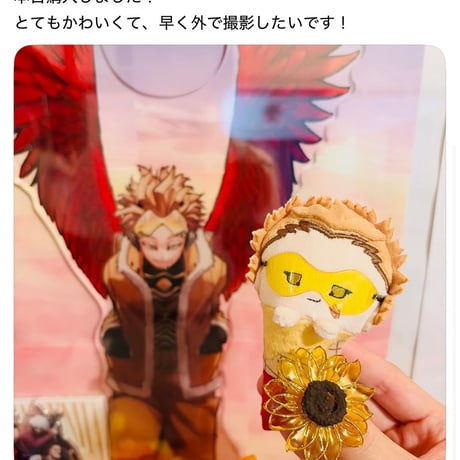 【ぬいどりんぐ】お客様からいただいたお写真②