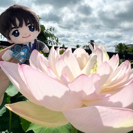 【ぬいどりんぐ】お客様からいただいたお写真②