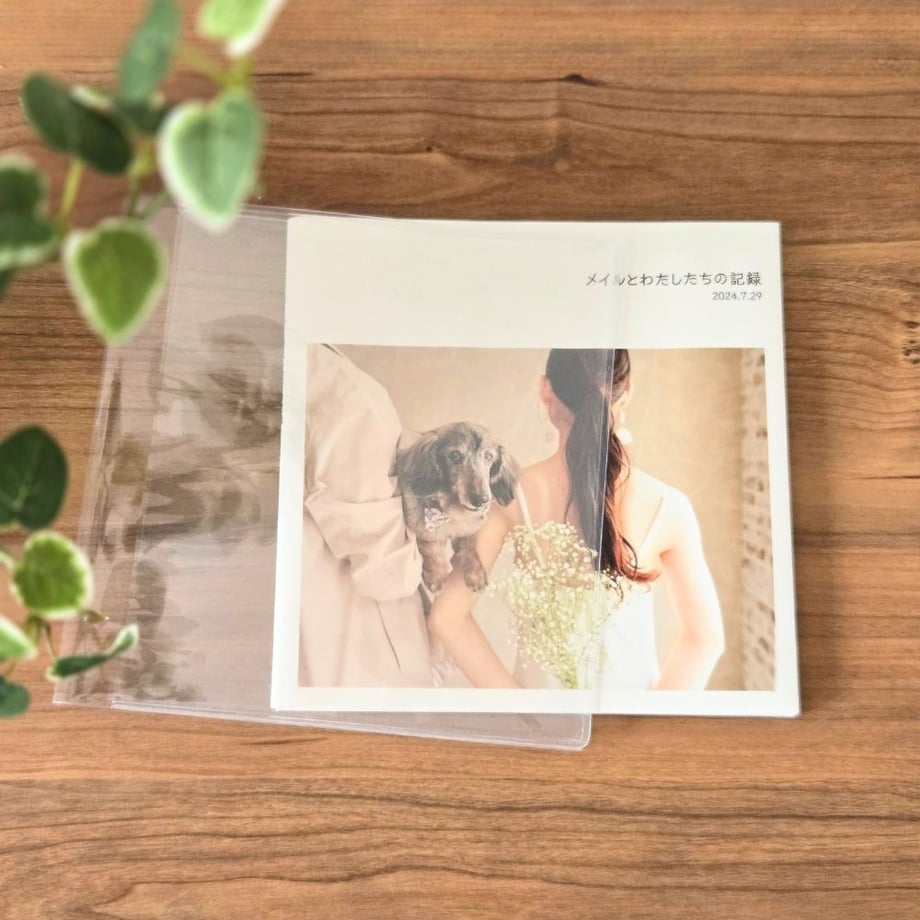 6721c85f1f0e5a0807c90378