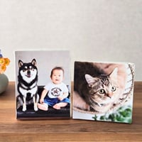 キャンバスアート ミニミニ  2個セット