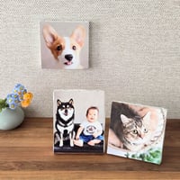 キャンバスアート ミニミニ  3個セット