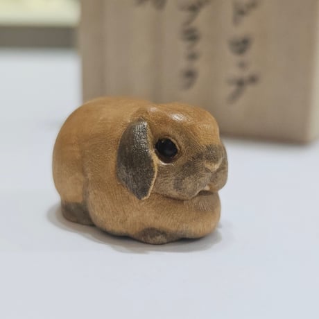 ホーランドロップ トータスブラック 小置物