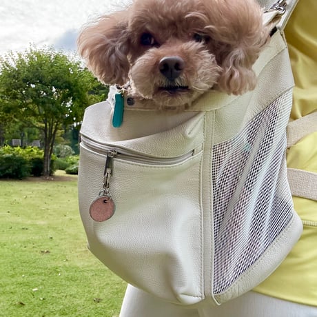 ─抱っこが大好きな犬たちへ。─合皮キャリーバッグ 🐾