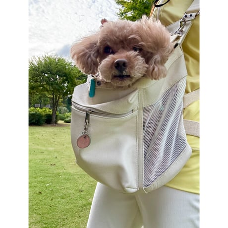 ─抱っこが大好きな犬たちへ。─合皮キャリーバッグ 🐾