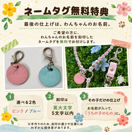 🌷お花が咲いたよリード🌻 ─今日もふたりのおさんぽ道にお花が咲いたよ🌷─