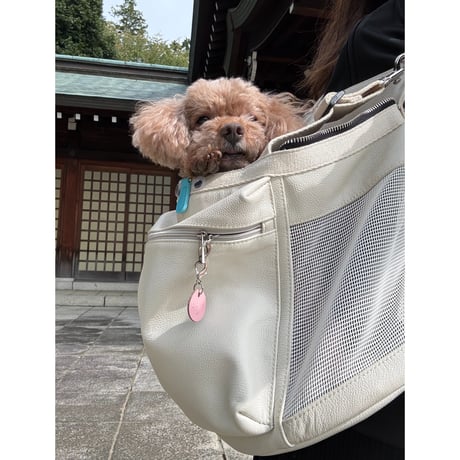 ─抱っこが大好きな犬たちへ。─合皮キャリーバッグ 🐾