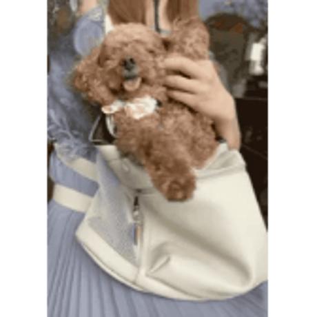 抱っこの合皮キャリーバッグ ─抱っこが大好きな犬たちへ。─