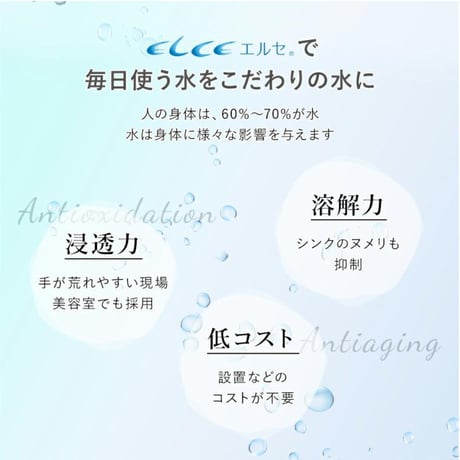 エルセの実