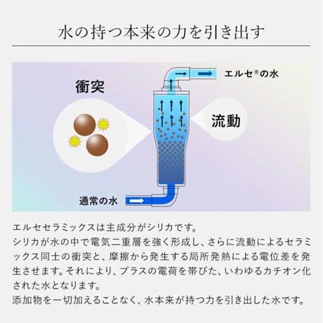 エルセの実