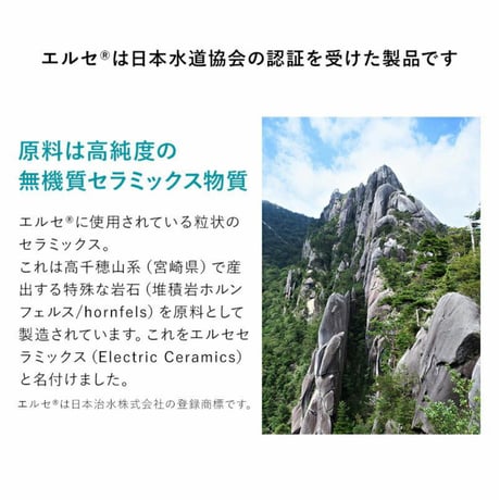 エルセの実