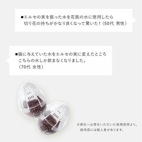 エルセの実